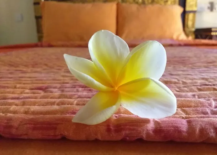 ゲストハウス Puri Asri ウブド